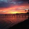 Our backyard. The reason we bought an ugly house and are remodeling. On the sound of the Gulf of Mexico. 