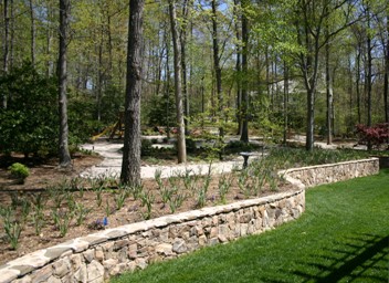 Woodland Garden with Paths and Stone Wall
