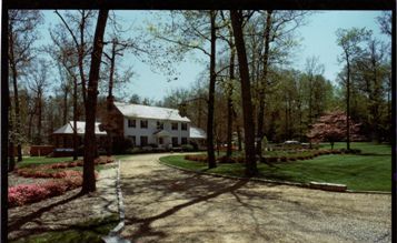 Front Yard and driveway