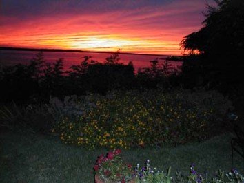 Flower Garden Backed by an Incredibly Firey Sunset