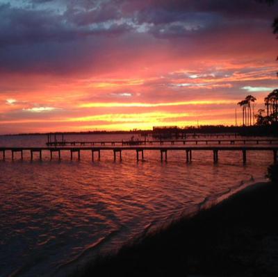 Our backyard. The reason we bought an ugly house and are remodeling. On the sound of the Gulf of Mexico. 