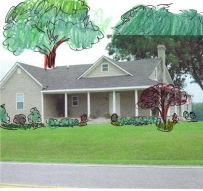Sketch of Recommended Landscaping for Submitted Photograph