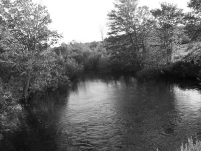 This is the beautiful Passagassawakeag River where I love to hang out.   I like to sit by the bridge and just think sometimes.