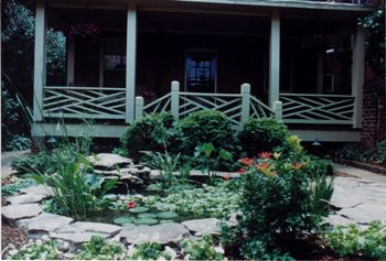 Pond with Water Plants